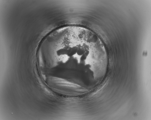 X0000102350721200808151750