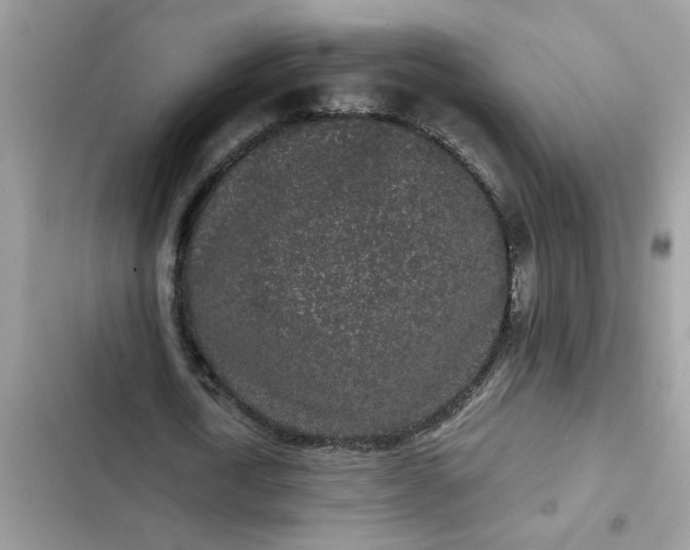 X0000102350722200808151750