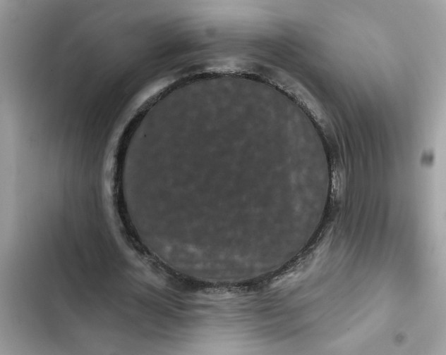 X0000102350724200808151750