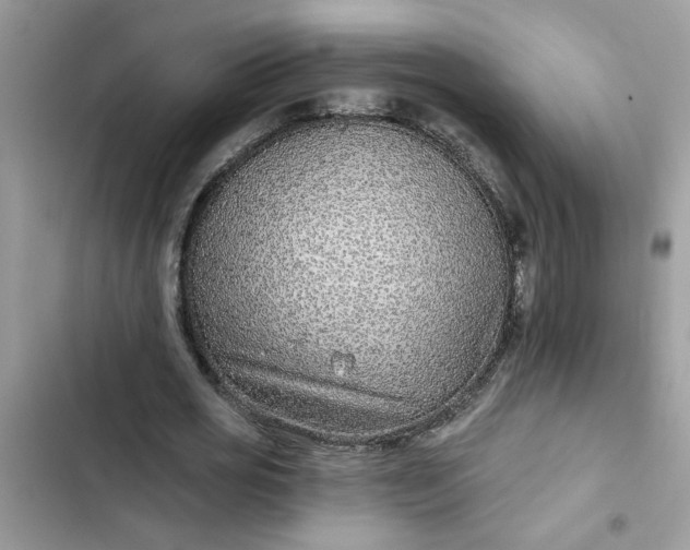 X0000102350725200808151750