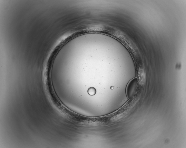 X0000102350726200808151750