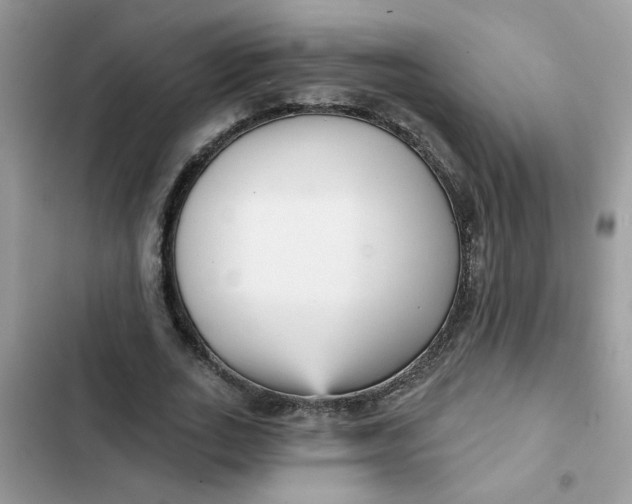 X0000102350727200808151750