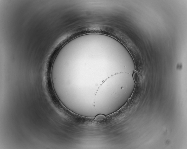 X0000102350728200808151750