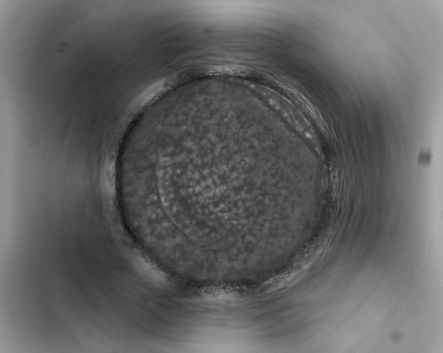 X0000102350729200808151750