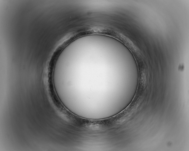 X0000102350730200808151750