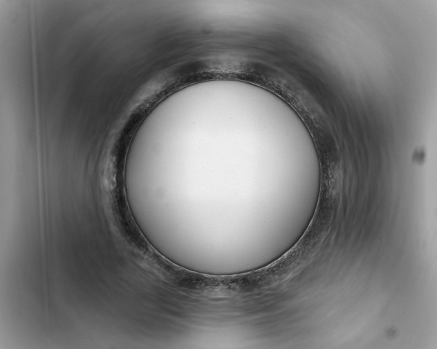 X0000102350731200808151750