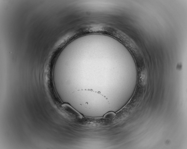 X0000102350732200808151750