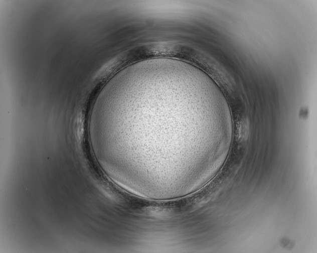 X0000102350733200808151750