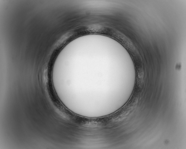 X0000102350734200808151750