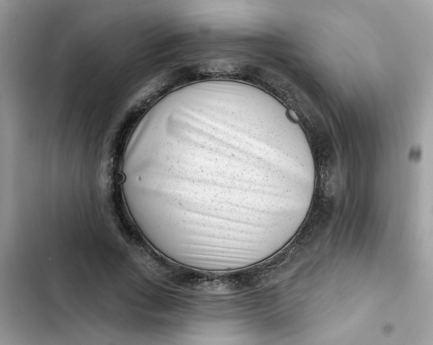 X0000102350735200808151750