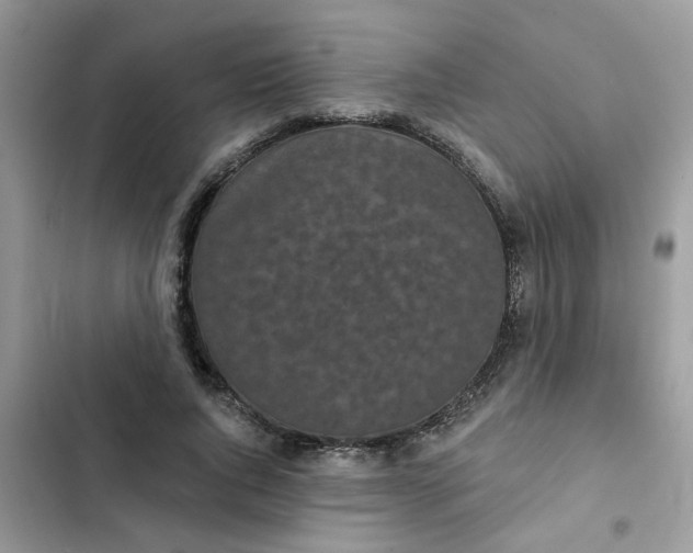 X0000102350736200808151750