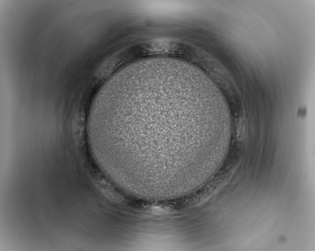 X0000102350737200808151750