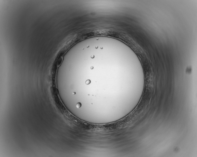 X0000102350738200808151750