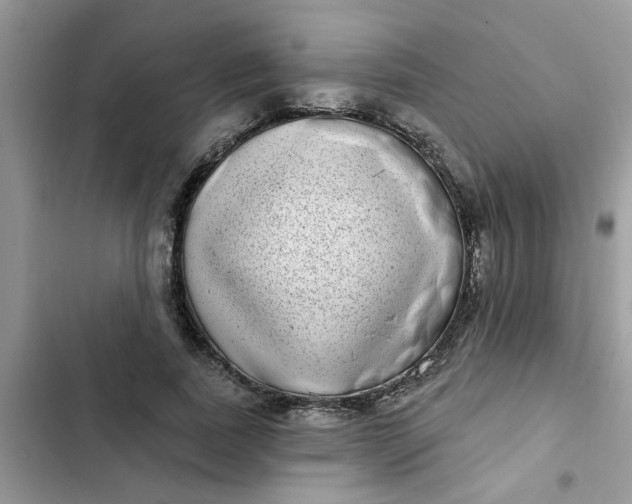 X0000102350739200808151750