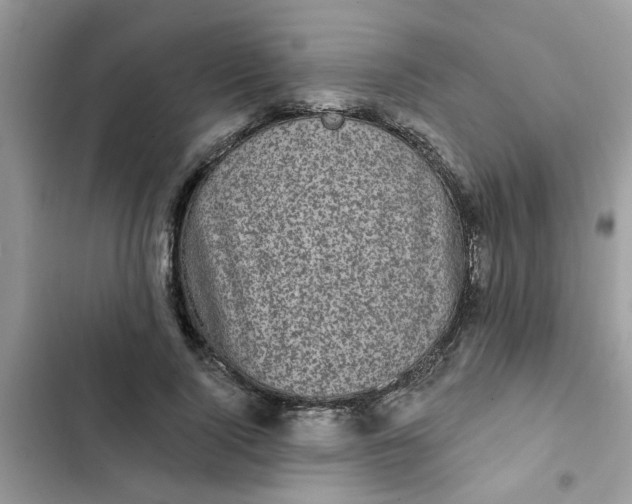 X0000102350740200808151750