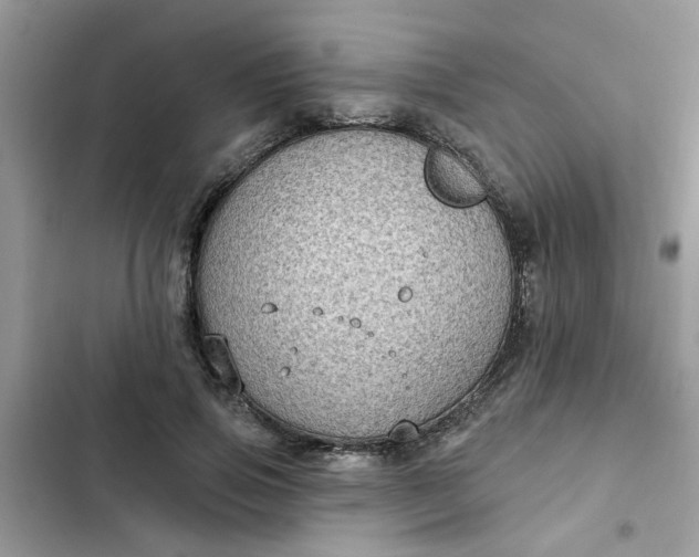 X0000102350741200808151750