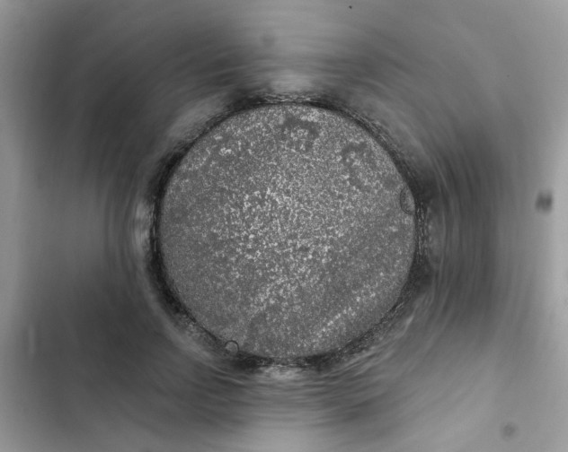 X0000102350742200808151750