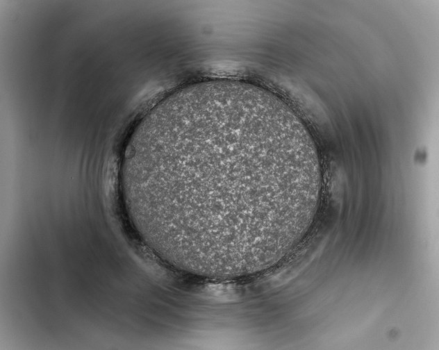 X0000102350744200808151750