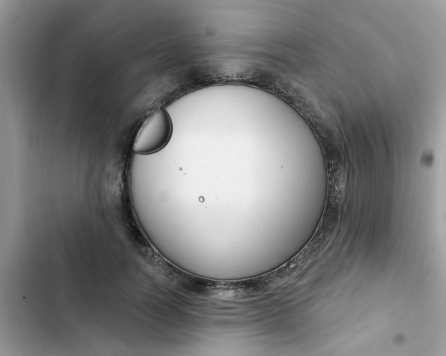 X0000102350746200808151750