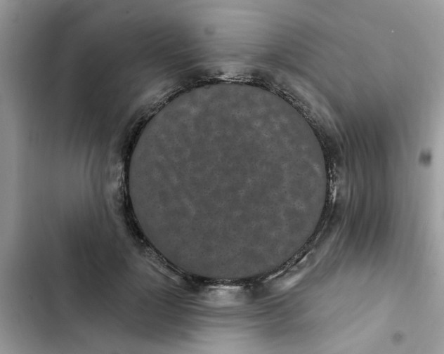 X0000102350748200808151750