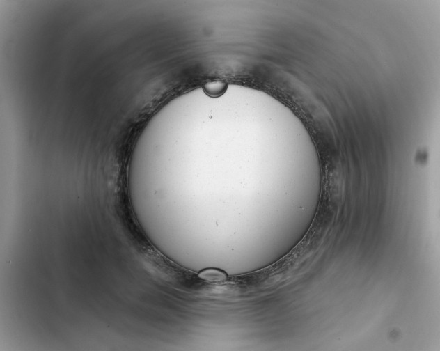 X0000102350750200808151750