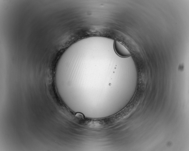 X0000102350751200808151750