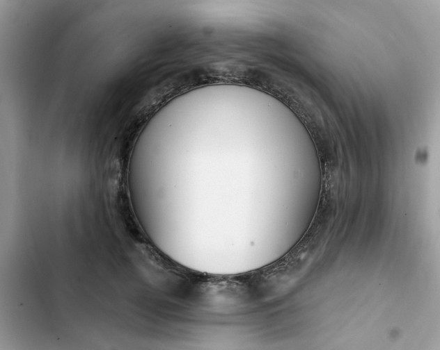 X0000102350752200808151750