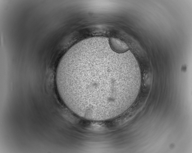 X0000102350753200808151750