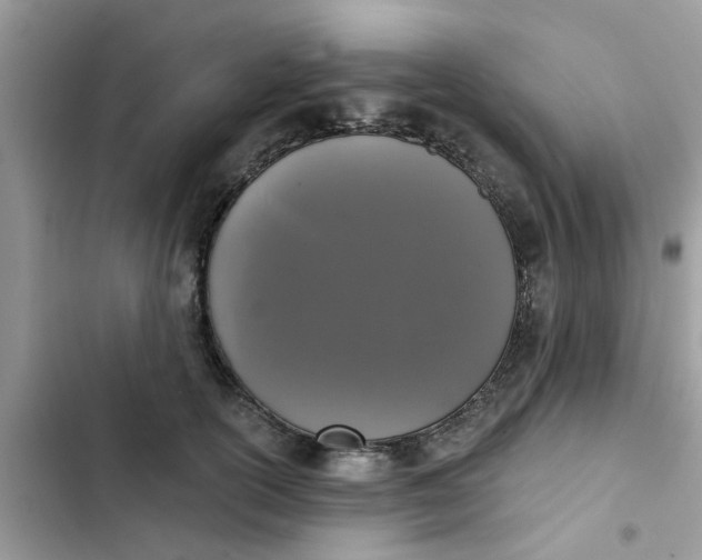 X0000102350754200808151750