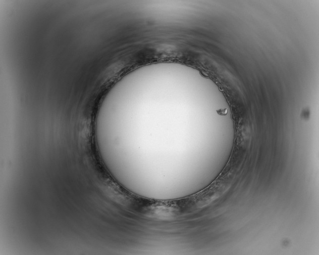 X0000102350756200808151750