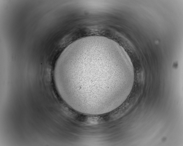 X0000102350757200808151750