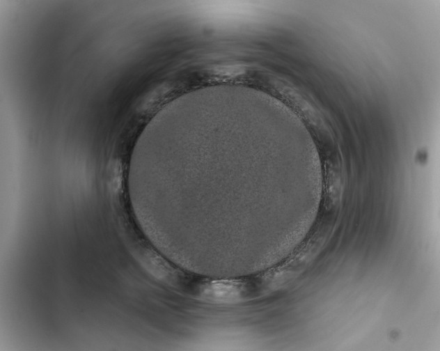 X0000102350758200808151750