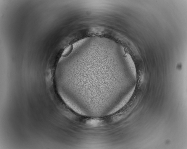 X0000102350759200808151750