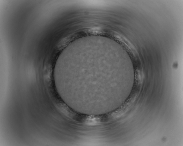 X0000102350760200808151750