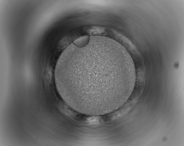 X0000102350761200808151750