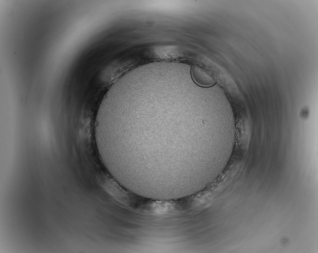 X0000102350762200808151750