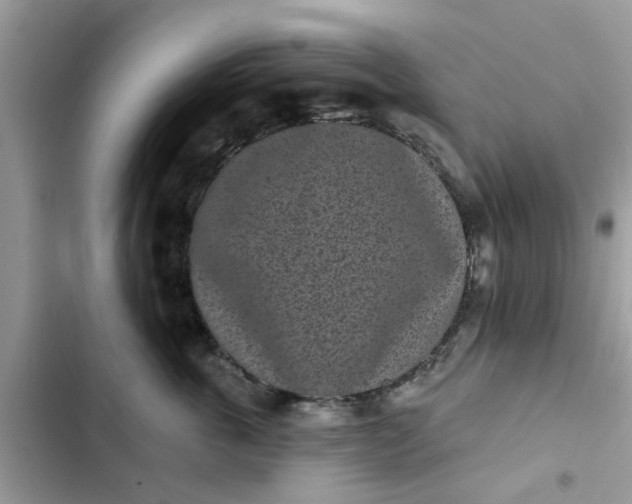 X0000102350763200808151750