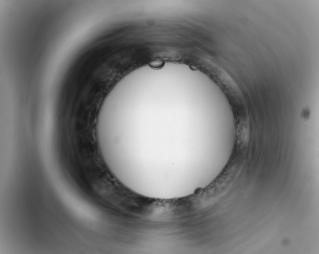 X0000102350764200808151750