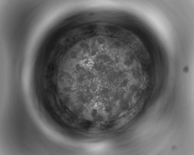 X0000102350765200808151750