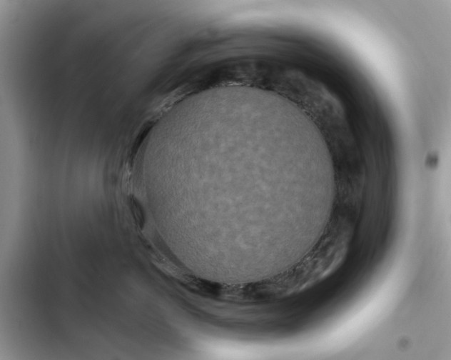 X0000102350766200808151750