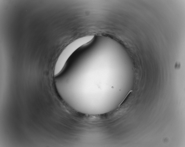 X0000102350768200808151750