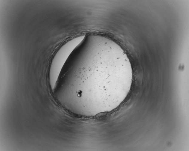 X0000102350769200808151750