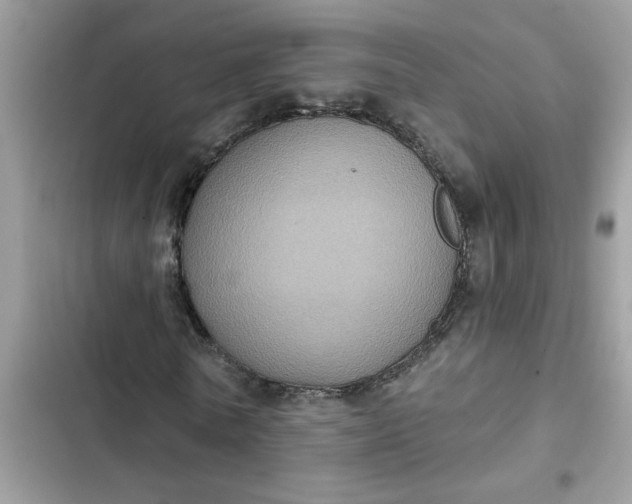 X0000102350770200808151750