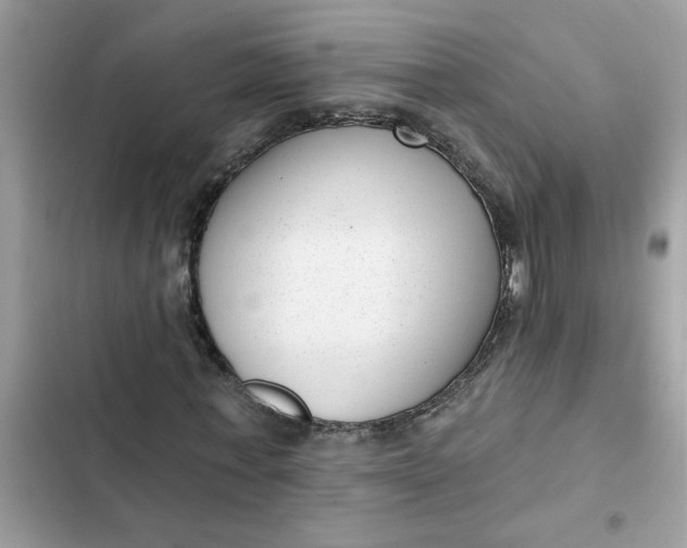 X0000102350771200808151750