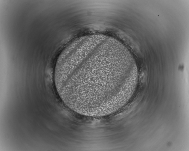 X0000102350772200808151750