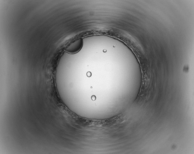 X0000102350773200808151750