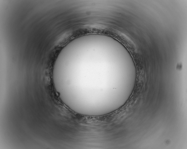 X0000102350774200808151750