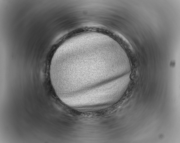 X0000102350775200808151750