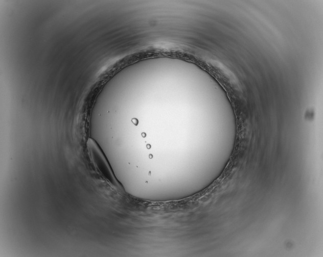 X0000102350776200808151749