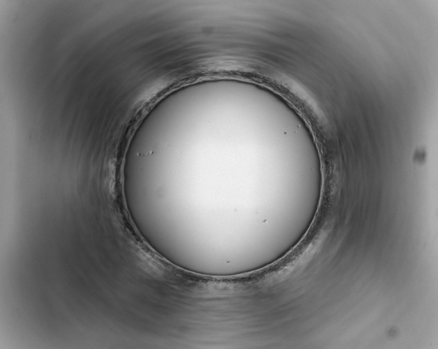 X0000102350777200808151749